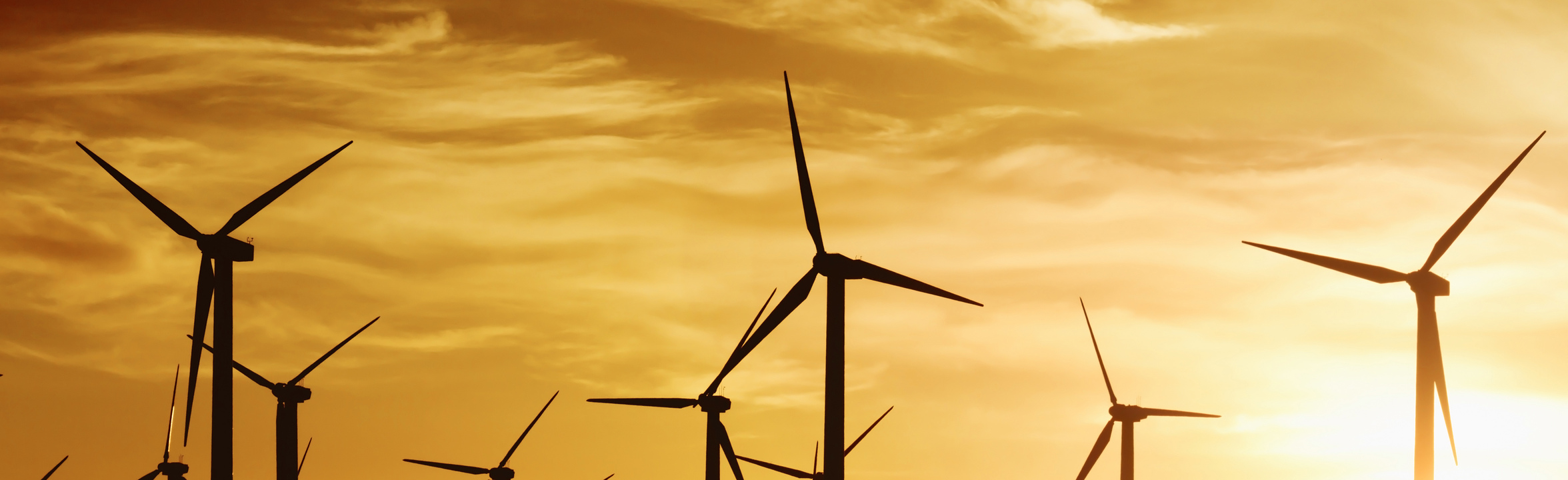 Sustainability